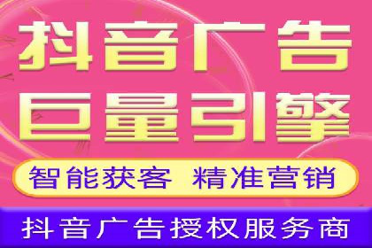 XX领域竞价广告的投放策略及效果展示